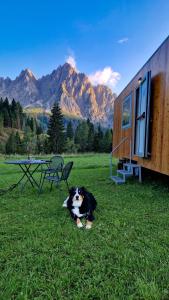 Φυσικό τοπίο κοντά σε οργανωμένο κάμπινγκ