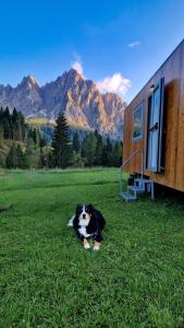 Φωτογραφία από το άλμπουμ του Vivere l'inverno tra i prati di Sappada σε Ecche +2 φωτογραφίες