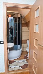 a bathroom with a toilet and a sink at U Gabryla in Biały Dunajec