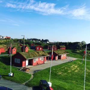 grupa czerwonych domów z dachami trawy w obiekcie Haraldshaugen Camping w mieście Haugesund