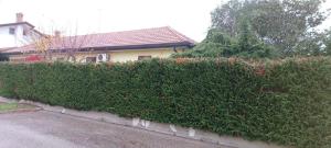 Gallery image of Villa Polesine in Porto Tolle