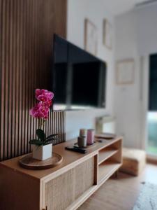TV a/nebo společenská místnost v ubytování Apartamento Privado DELUXE - Grupo RH 20