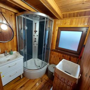 a bathroom with a shower and a sink at Zacisze in Uście
