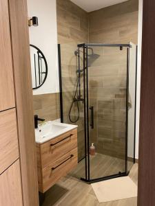 un baño con ducha y lavabo en Rybnicka 109A, en Skorka