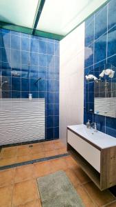 ein blau gefliestes Bad mit einem Waschbecken und einer Dusche in der Unterkunft Quinta Sarnadela - Spacious 3 bedroom house with mountain view in Oliveira do Hospital