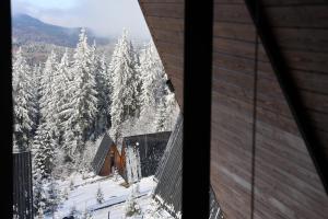 Το УЛІС Ворохта τον χειμώνα