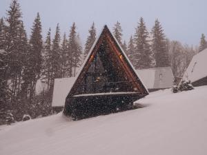 Το УЛІС Ворохта τον χειμώνα