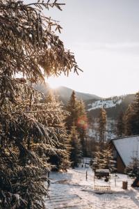 Φυσικό τοπίο κοντά σε αυτή η παραθεριστική κατοικία