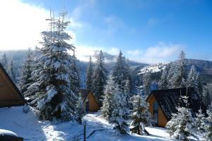Φυσικό τοπίο κοντά σε αυτή η παραθεριστική κατοικία +35 φωτογραφίες