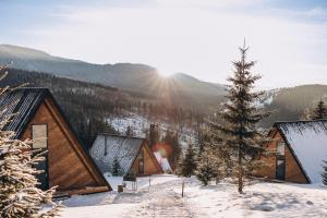 沃罗赫塔УЛІС Ворохта的雪地里有一群小木屋，旁边还有一棵树。
