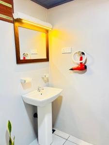 Ένα μπάνιο στο Sigiriya Arecanut Garden