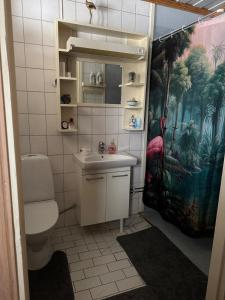 Η κουζίνα ή μικρή κουζίνα στο Entire home in Muodoslompolo