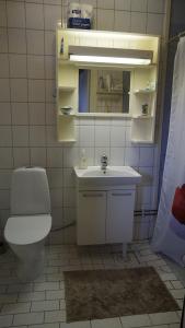 Ένα μπάνιο στο Entire home in Muodoslompolo +6 φωτογραφίες