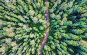 Φυσικό τοπίο κοντά σε αυτή η παραθεριστική κατοικία