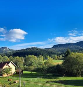 Ảnh trong thư viện ảnh của Sunnyside apartments 1 ở Gornje Pale