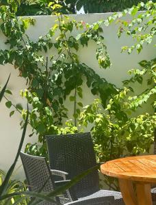 Zahrada ubytování SCUBA HAVEN Fuvahmulah Guesthouse + 26 fotografií