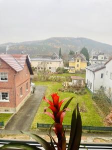 Φυσικό τοπίο κοντά σε αυτό το διαμέρισμα