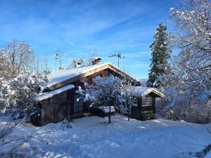a log cabin with snow on the roof at Ferienwohnung Schmidt - Natur und Ruhe in Schwaigen