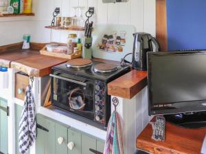 una cucina con fornelli e microonde di Glan Tywyn Shepherds Hut a Caeʼr-geiliog