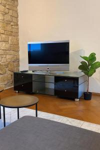 a flat screen tv sitting on top of a black entertainment center at Cool and Laidback at Sankt Johann in Basel