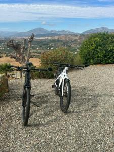 Ποδηλασία στο Finca Feliz Andaluz ή στη γύρω περιοχή