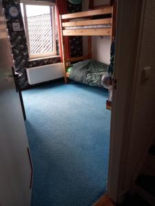 Eenpersoonskamerskamer, gezamenlijk gebruik badkamer en toilet في تورْن: غرفة بسرير بطابقين وغرفة بسجادة زرقاء