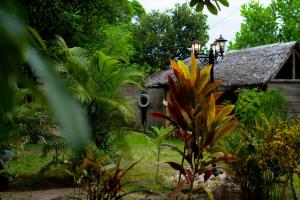 Fotografie z fotogalerie ubytování Le Jardin Arhumatic Sambava v Sambavě