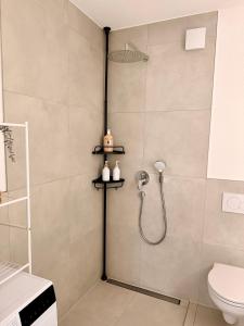 鲍纳塔尔Bauna Suites & Apartments的带淋浴和卫生间的浴室