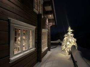 Φωτογραφία από το άλμπουμ του Luster Lodge σε Luster