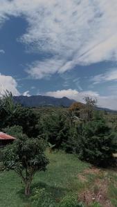 Φυσικό τοπίο κοντά σε αυτή η παραθεριστική κατοικία