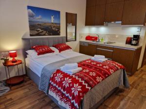 斯维诺乌伊希切Apartament TRZY POMOSTY Villa Mistral的一间带大床的卧室和一间厨房