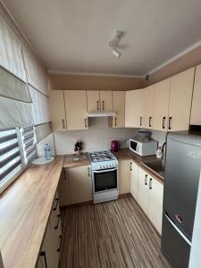 Kuchyň nebo kuchyňský kout v ubytování Apartament L38 Mieszkanie dla wszystkich