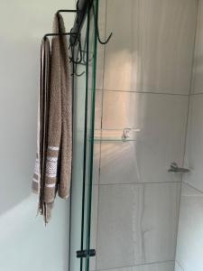 Balsa NovaにあるChalé do Cerro Fazenda Cerro do Purunaのシャワー(ガラスドア付)、タオルが備わります。