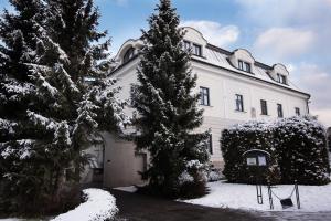 ein großes weißes Gebäude mit Bäumen im Schnee in der Unterkunft Hotel Villa Nečas Žilina in Žilina