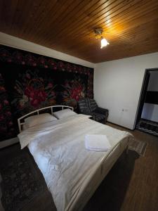 Μια τηλεόραση ή/και κέντρο ψυχαγωγίας στο Casa Agricultorului Varzari