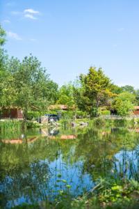 Природа в окрестностях кемпинга