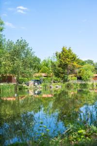 Природа в окрестностях кемпинга