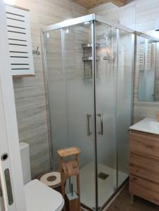 a shower with a glass door in a bathroom at Finca Las Abuelas in Galaroza