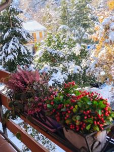Το Casa con vista τον χειμώνα
