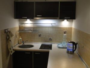 a small kitchen with a sink and a stove at Apartament Perełka Zielone Tarasy Kołobrzeg in Kołobrzeg +49 photos