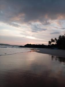 a beach with palm trees and the ocean at sunset at White shell in Sinimodera +7 photos