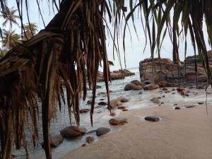 a beach with rocks and a bunch of palm trees at White shell in Sinimodera