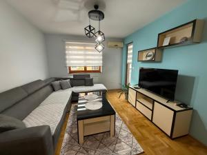 卢卡维卡Apartment stan na dan Hilandarska的配有沙发和平板电视的客厅