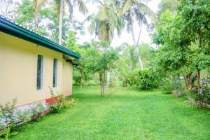 a yard next to a house with trees at The Green Rest in Waskaduwa +12 photos