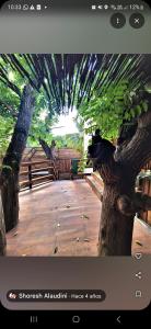 a screenshot of a picture of a tree at Las cabañas in Tulum