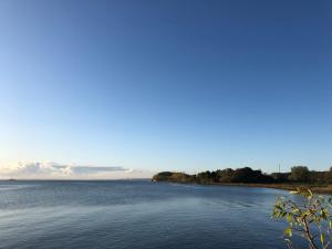 RogeFairschlafen Boutique Hostel Zimmer 0-09 mit Terrasse的远处有树木的一大片水