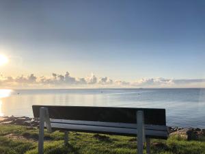 RogeFairschlafen Boutique Hostel Zimmer 0-15 mit Terrasse的坐在水边的草上的一个长凳