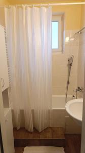 Ένα μπάνιο στο Apartment Krnov +7 φωτογραφίες