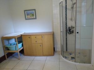 a bathroom with a shower with a wooden cabinet and a sink at Gîte Chez Dédé in Brillac