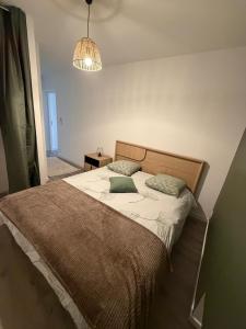 Boulieu-lès-AnnonayAppartement cosy et lumineux的一间卧室，床上有两个枕头